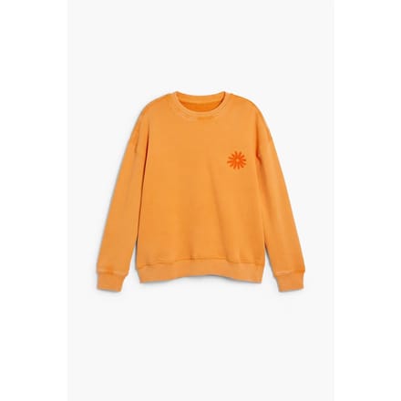 Junior Sweatshirt Desigual Arnold