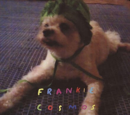 Zentropy - Frankie Cosmos