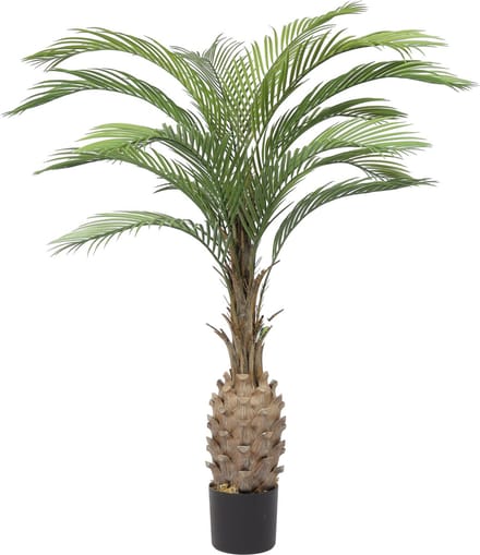 Kunst Palmboom Goa | 140cm – Bottle Palm – Ananas Palm – Nep Phoenix Palm – Real Touch – Deluxe Kunstpalm