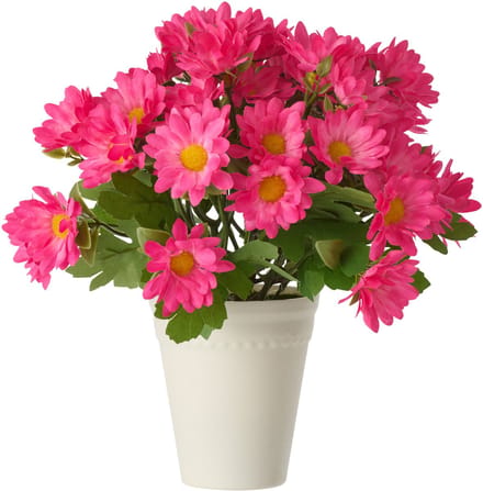 J-Line madeliefje - kunststof - fuchsia