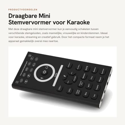 Handmicrofoon - Dailygoods- Stemvervormer Draagbaar Mini