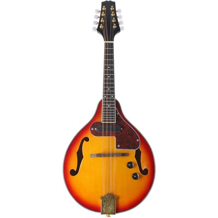 Verstelbare 8-snarige elektrische A-stijl mandoline palissander toets snaarinstrument met kabel black