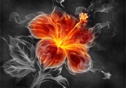 Fotobehang - Fiery flower inside the smoke.