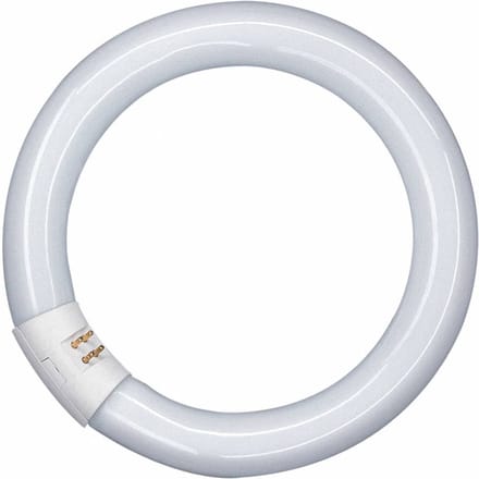 OSRAM G10q 32W 840 Lumilux T9C ringvormige tl-lamp