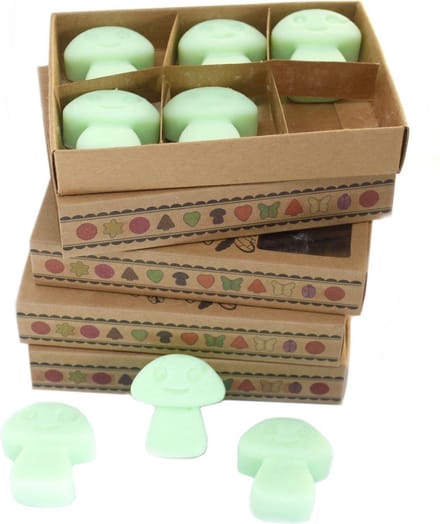 Cadeauset van 6 Wax Melts - Zoethout