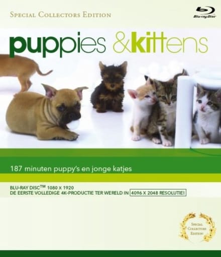 Puppies & Kittens DVD