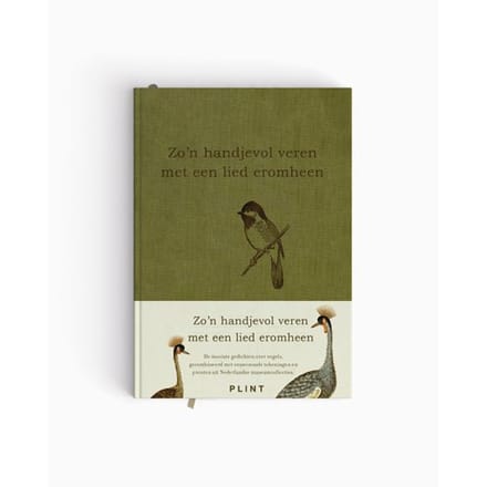 Zo'n Handjevol Veren Met Een Lied Eromheen - Plint - Dichters