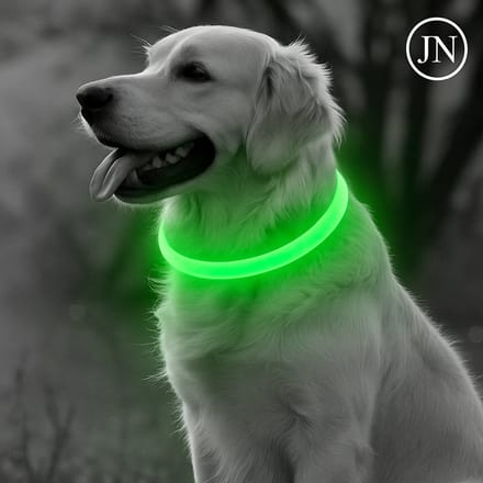 LED Halsband Hond – USB-C Oplaadbaar – 50 cm – Groen – Lichtgevend – Veilig in het Donker – Verstelbaar