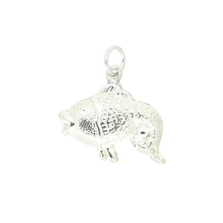 Blinx Jewels Zilveren Hanger Vis