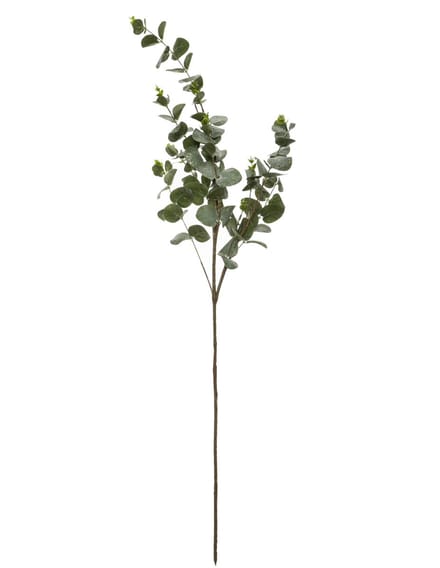 JJA - Eucalyptus tak 98 cm natuurlijke decoratie