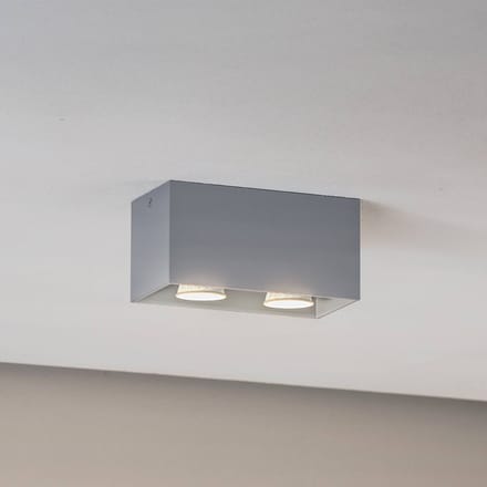 Euluna Plafondlamp Ara Maxi van aluminium 2-lamps grijs