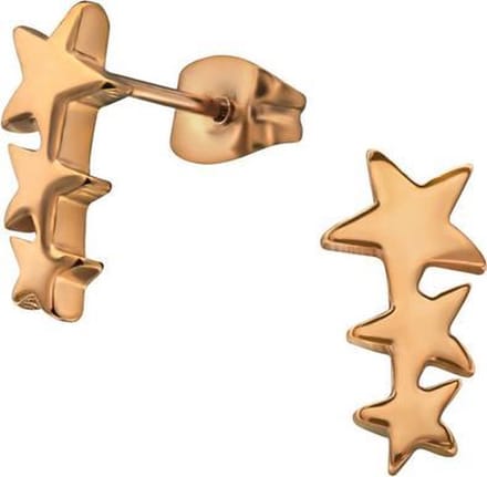 Amanto Oorbellen Bran - 316L Staal - Ster - 6x12mm