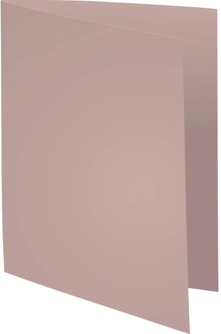 Exacompta 5x SUPER 60 - Pak van 250 inlegmappen - 22x31cm voor A4 - Grijs - 850009E