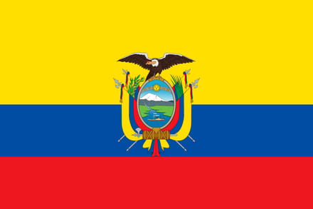 Vlag Ecuador 300x450cm