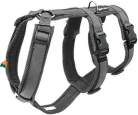 Petlando Safety Harness L Antraciet