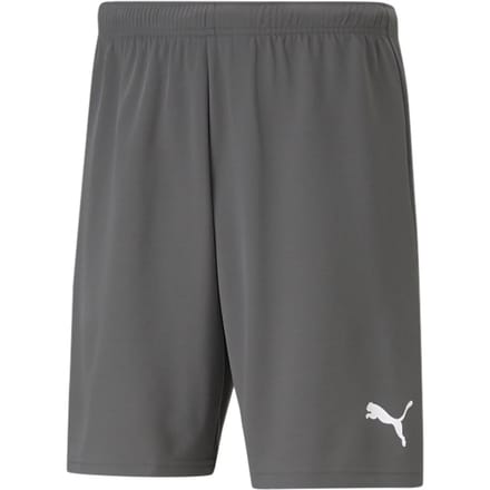 Short Puma Team Rise