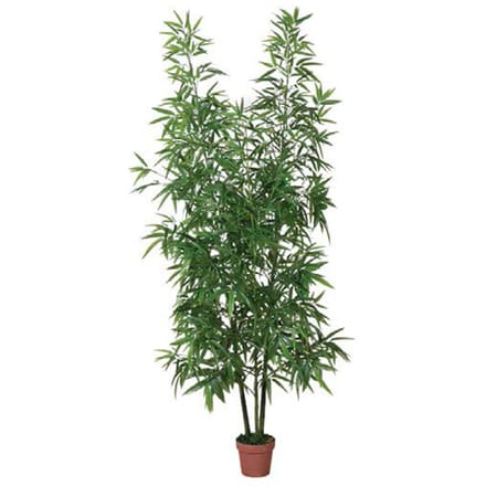 Intergard Kunstplanten bamboe 200cm