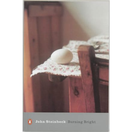 Burning Bright - John Steinbeck