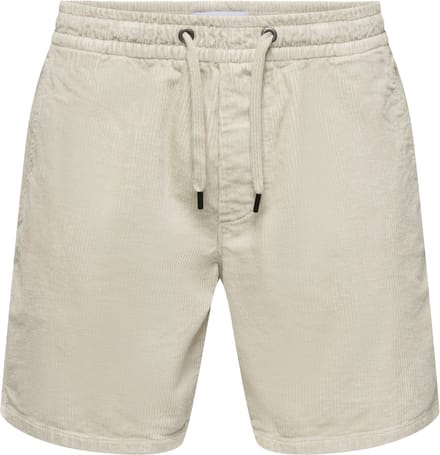 ONLY & SONS Shorts ONSTEL Regular fit Shorts