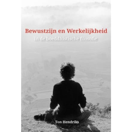Bewustzijn En Werkelijkheid - Ton Hendriks