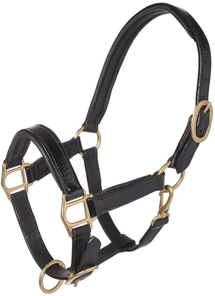 MHS Leren Halster “Croco” Mini Jaarling Zwart / Goud