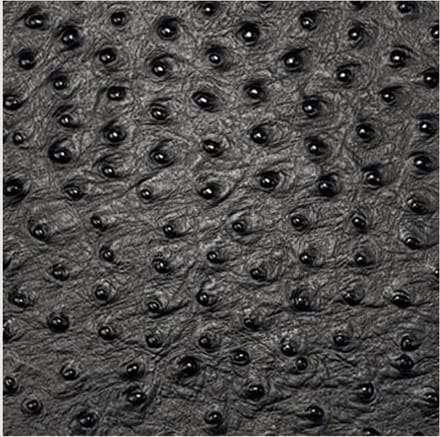 Daff Leatherixx - Coaster Leatherixx Emu 10 x 10 cm Coal