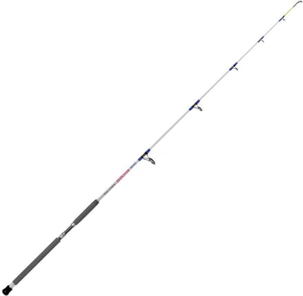 Expert Predator Skipjack Bodemvissen Hengel Zilver 2.40 m / 100-300 g