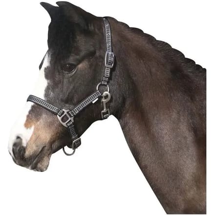 Halster voor paarden HorseGuard Rio