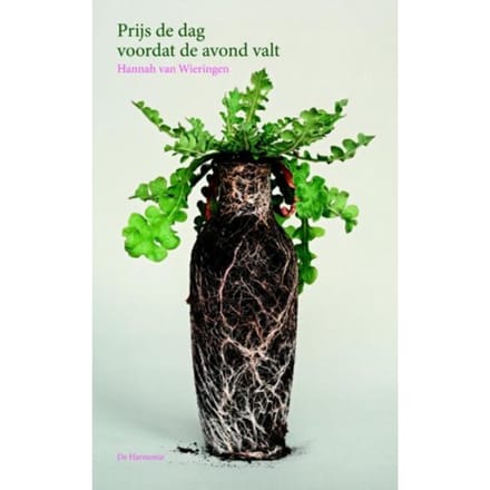 Prijs De Dag Voordat De Avond Valt - Hannah van Wieringen
