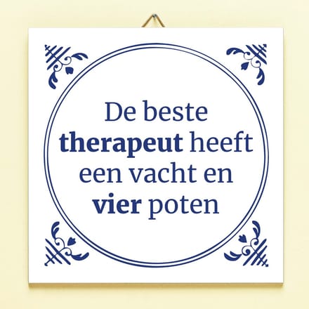 Tegeltje De Beste Therapeut van Ditverzinjeniet.nl