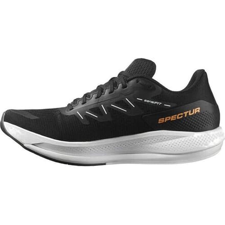 Salomon Spectur Hardloopschoenen Zwart EU 44 2/3 Man