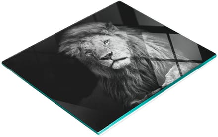 Glazen decoratieve plank met afbeelding van een leeuw voor het serveren van snacks, 60x52 cm