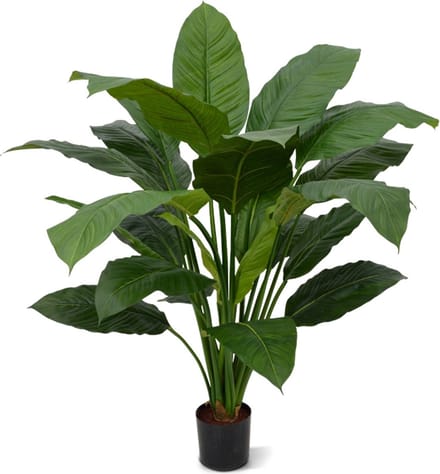 Designplants Spathiphyllum King Kunstplant 100