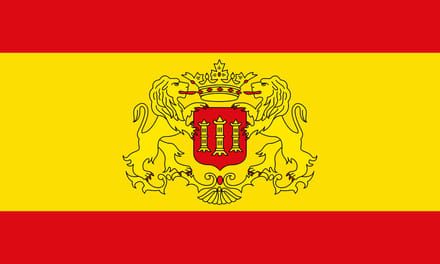 Vlag Lingen 100x150cm
