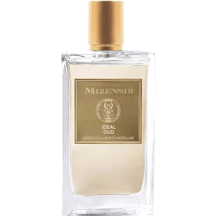 MIZENSIR Woody Eau de Parfum Spray Herenparfum Unisex 100 ml