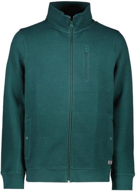 CARS Jeans Truien DAYLOR SW Vest Bottle