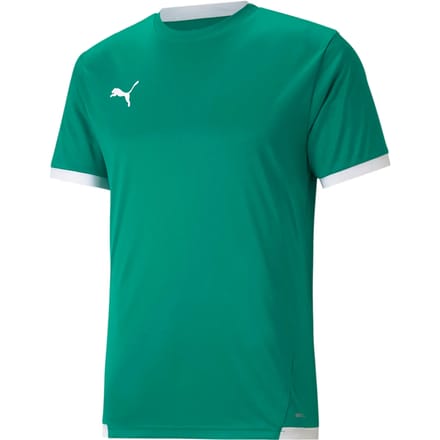 Koszulka Puma Team Liga