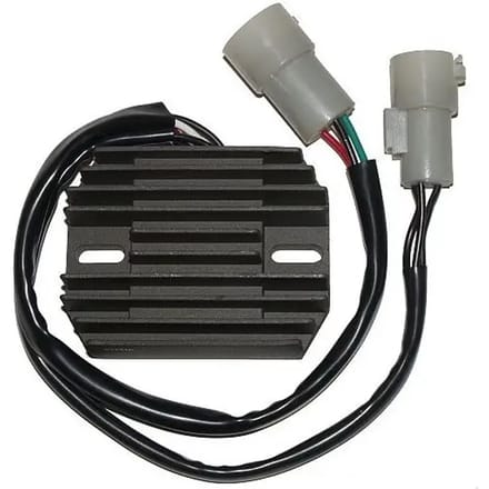 Aanpasbare regelaar Electrosport Kawasaki
