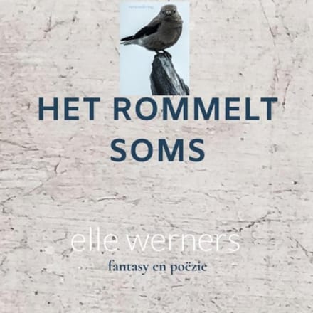 Het Rommelt Soms - Elle Werners