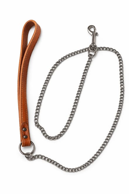 Adori kettinglijn bruin 12mm/100cm - met leren handgreep
