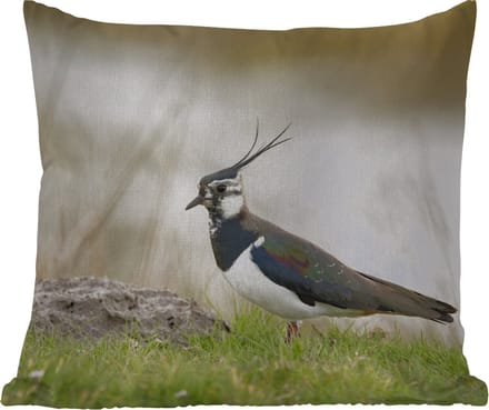 Tuinkussen - Vogel - Gras - Dieren - Natuur - Kievit - 40x40 cm - Weerbestendig