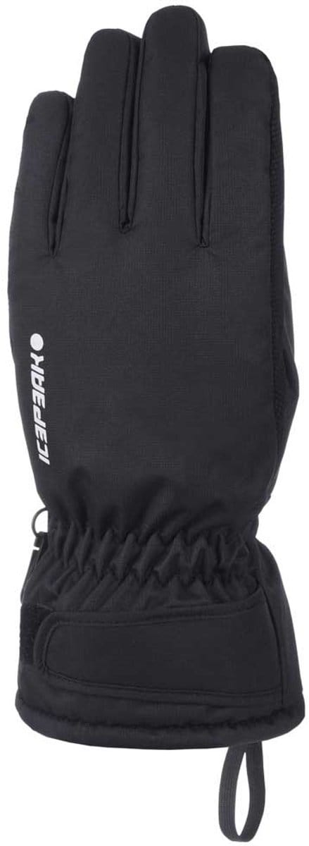 Icepeak Hayden I Handschoenen Zwart XS