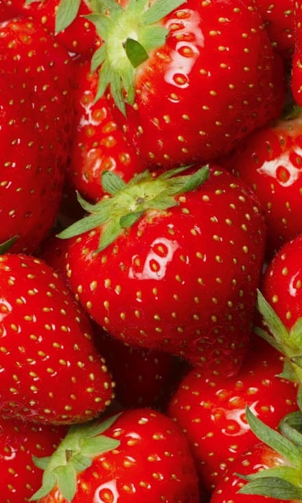 Fotobehang - Strawberry 150x250cm - Vliesbehang