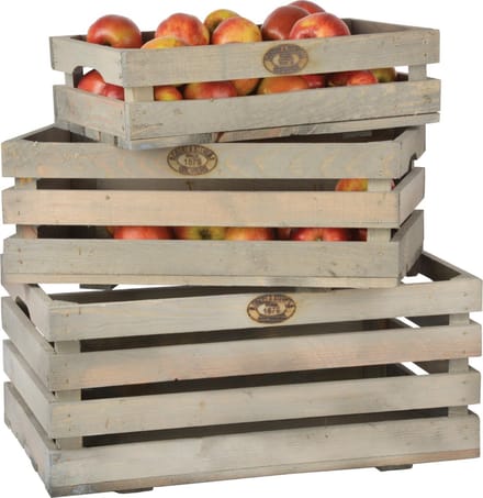 Fruitkratten set van 3