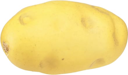 Aardappel kunstvoerdummy 12cm