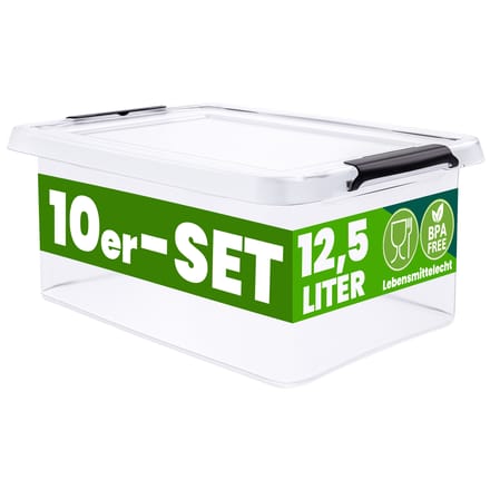 Deuba Opbergox - Set van 10 Stapelbaar 39x29x17cm 12,5L – Transparant