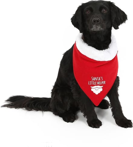 Kerst Bandana Santa's Little Helper - Dierenkleding - Rood - S