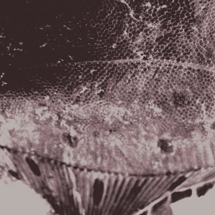 Mark IJzerman - Flounder Maps (LP)