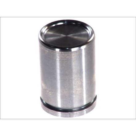 Zuiger, remklauw AUTOFREN SEINSA D02588, achter