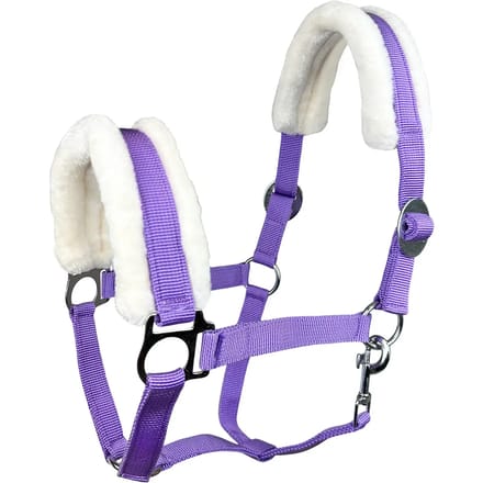 Halster voor paarden York Sophia